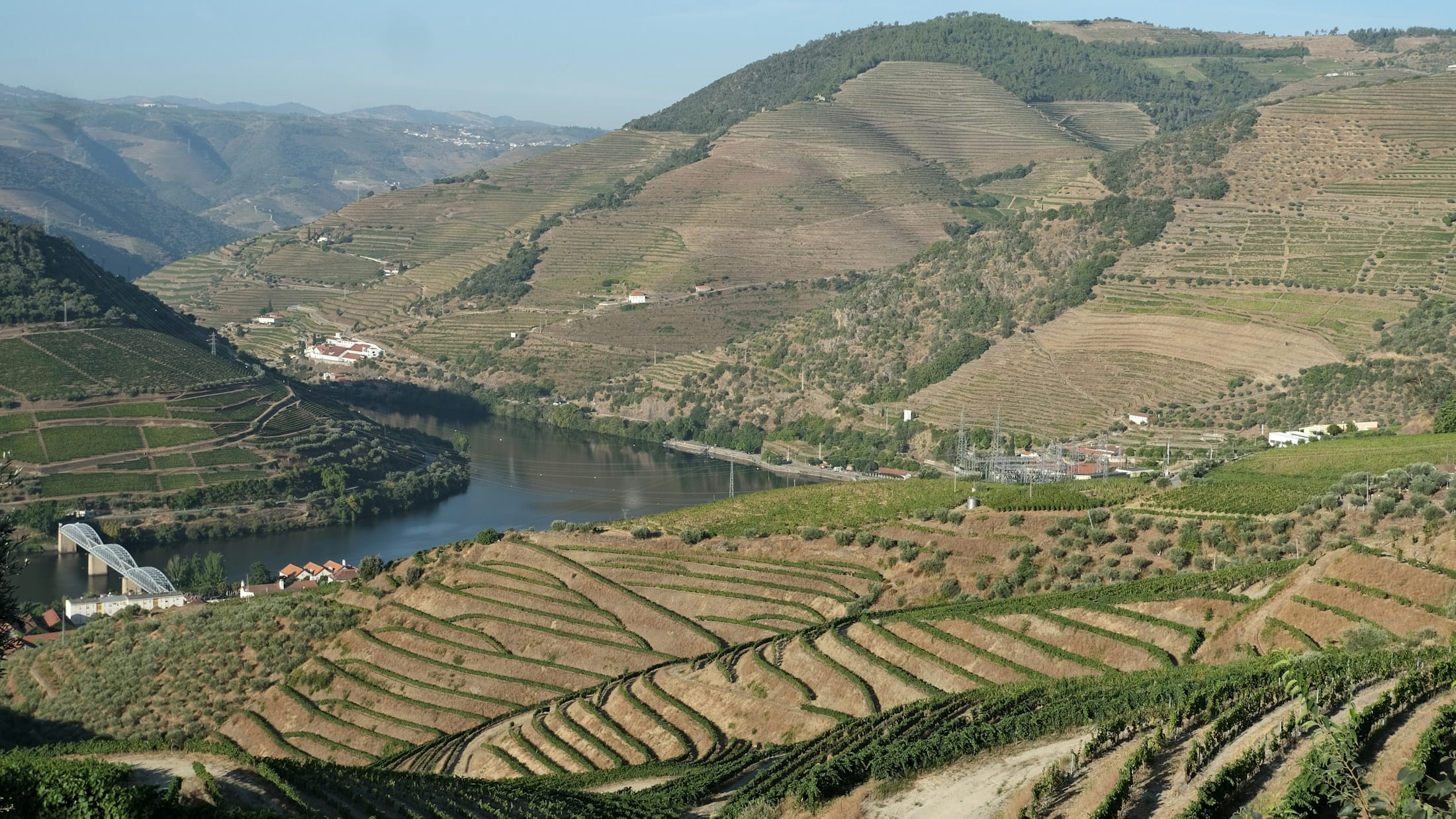 The Douro River winding through terraced vineyards in Portugal