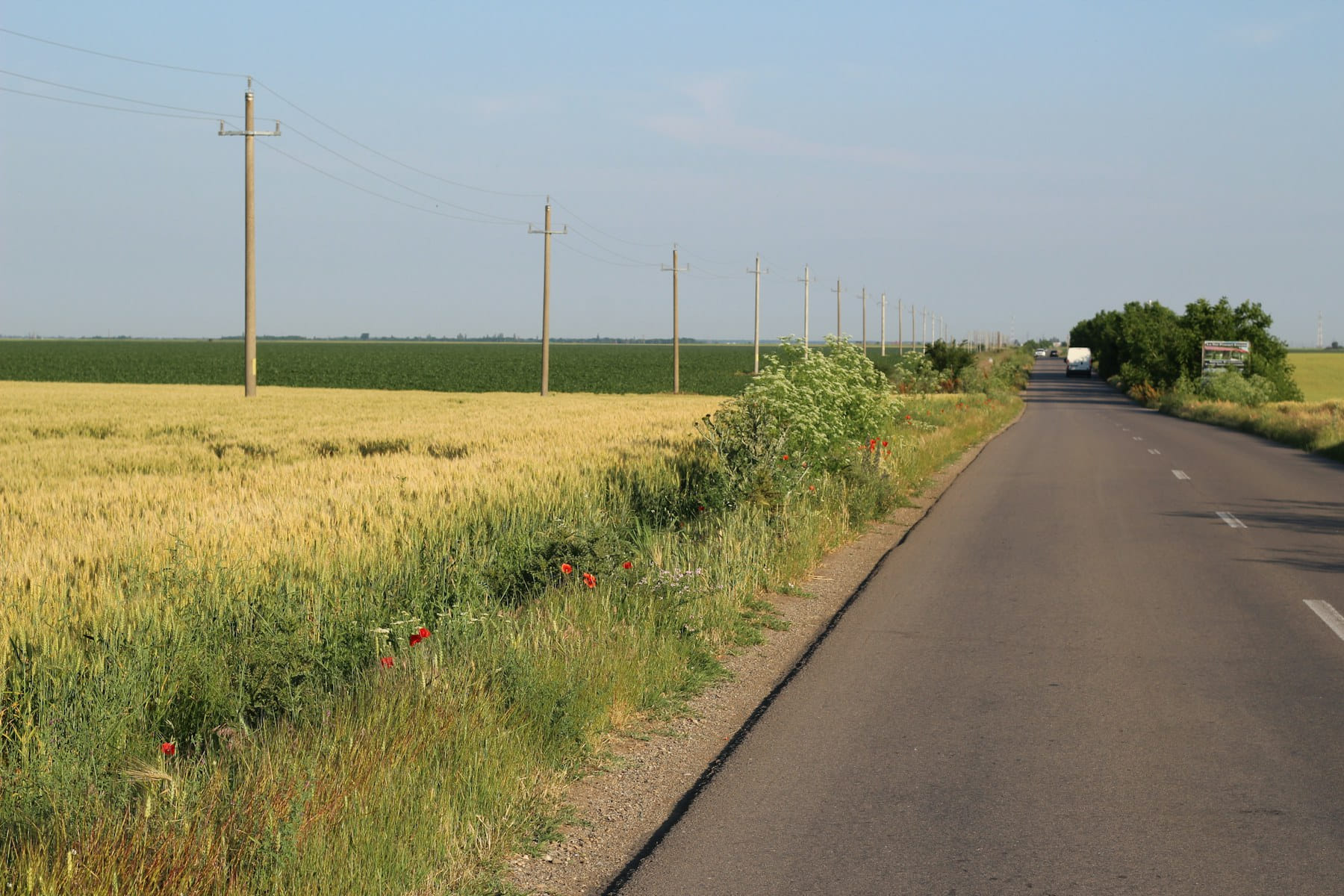 A quiet country road running between open fields